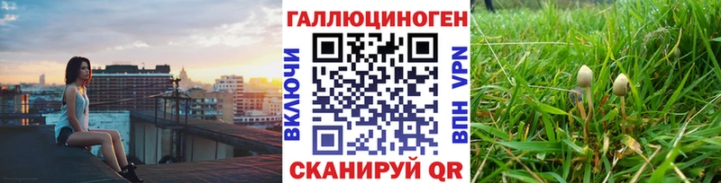 Псилоцибиновые грибы Psilocybine cubensis маркетплейс Telegram Жуков mega маркетплейс
